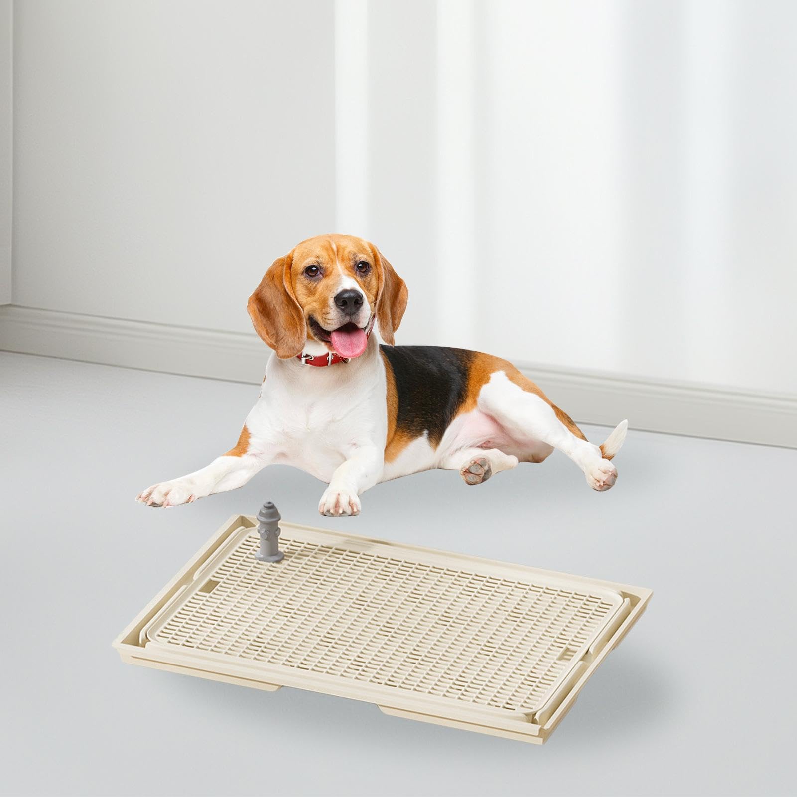 Amazon | Cuticate 【2024新登場・ガイドポスト付き】ペット